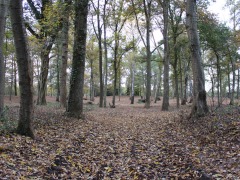 de Hunenborg november 2015