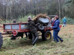 afvoeren-maaisel-(verschralen)-web