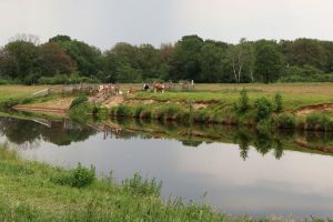 drinkplaats aan de Vecht